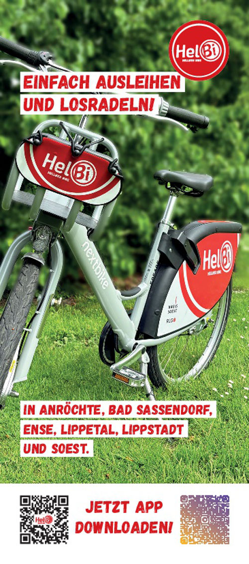 Flyer1